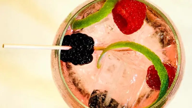 Selección de gin tónics premium