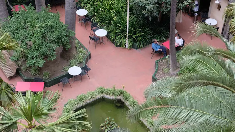 El Jardí de L'Ateneu — foto 8