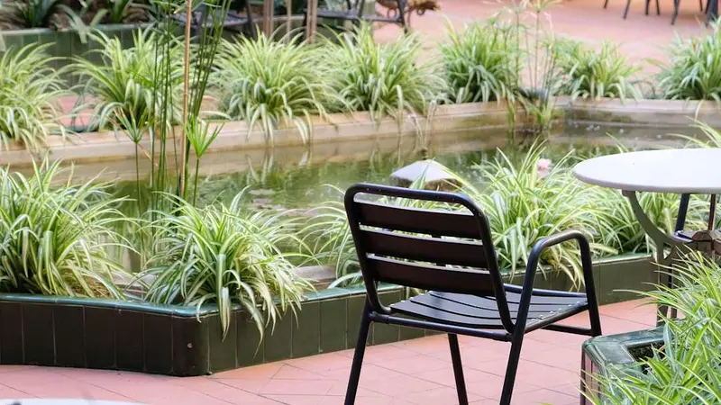 El Jardí de L'Ateneu — foto 2