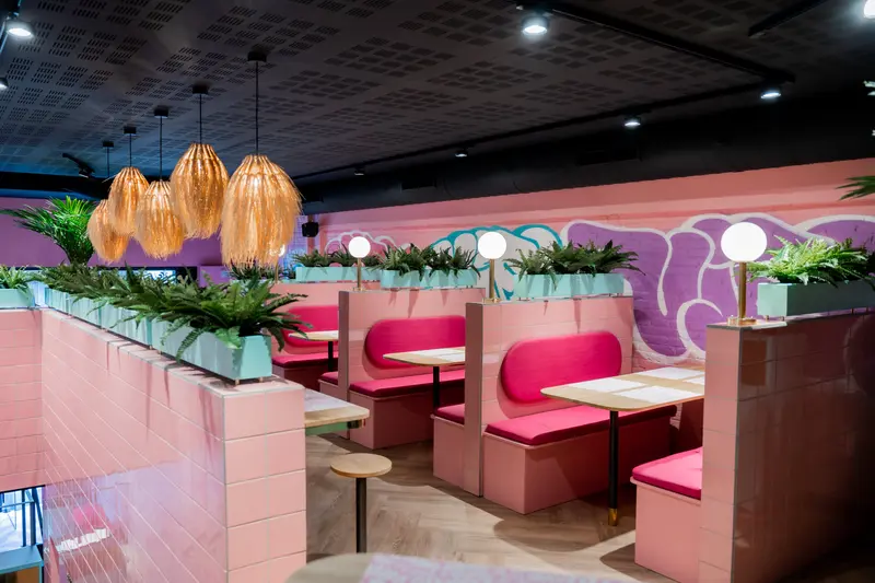 Vegan Junk Food Bar