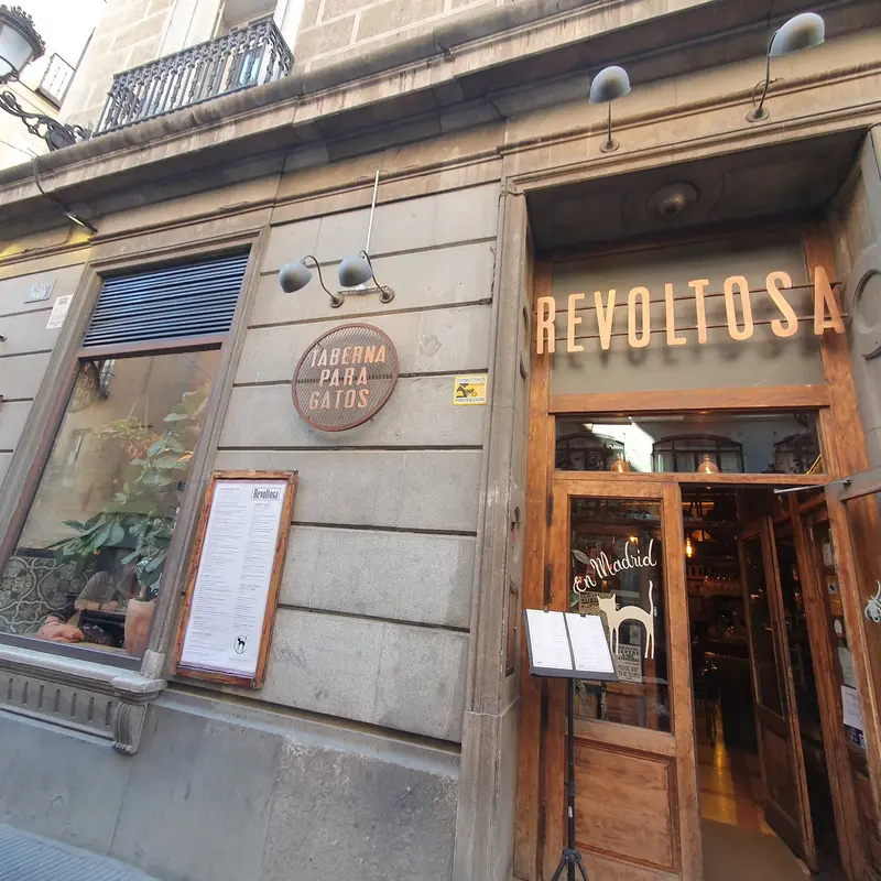 Revoltosa Prado — foto 4