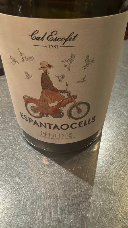 JJ i amics — foto 3