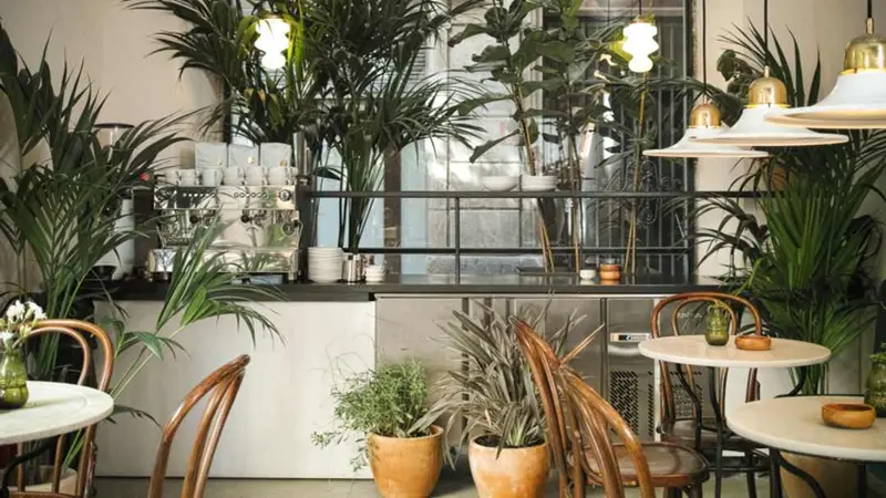 Bistrot Levante — foto 6