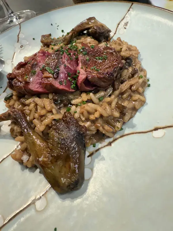 Arroz de filete de pato, zanahoria, olor de naranja