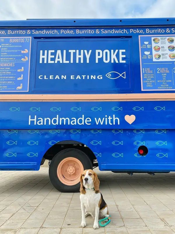 Poke house — foto 5
