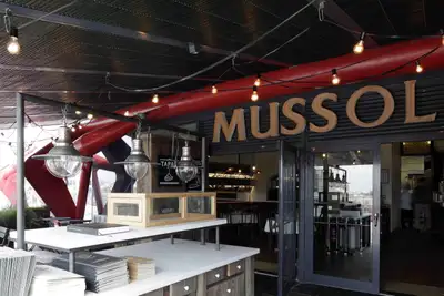 Mussol Arenas