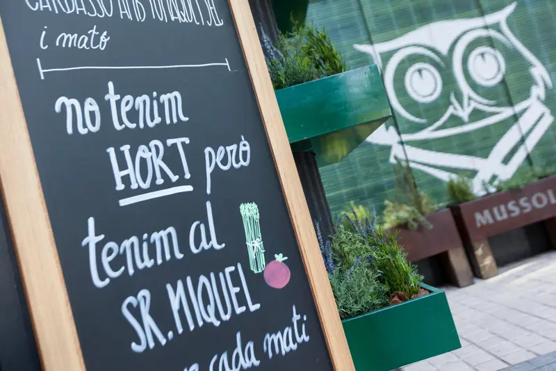 Mussol Restaurant — foto 4
