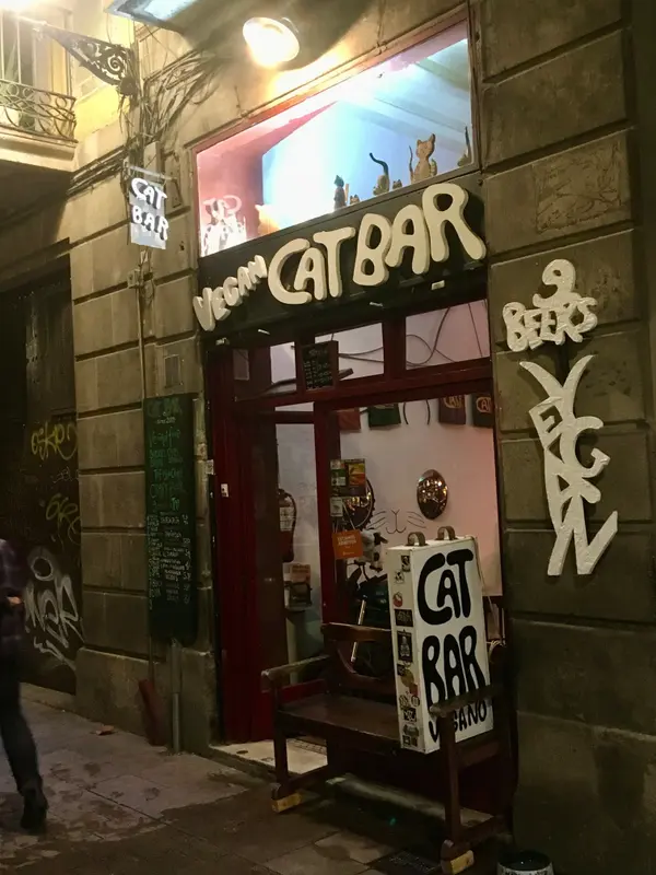 Enjoy Vegan — foto 5