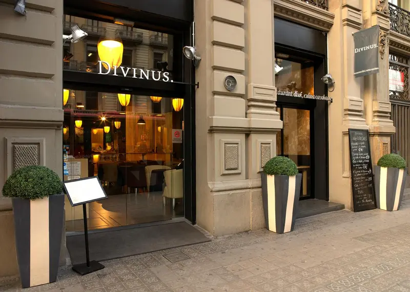 Divinus — foto 2