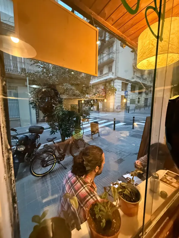 Mango and Caoba — foto 5