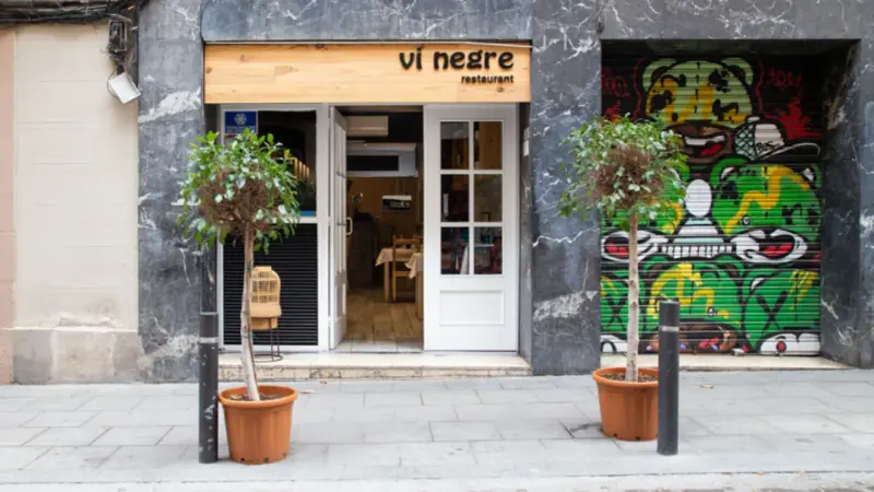 Vi Negre — foto 7