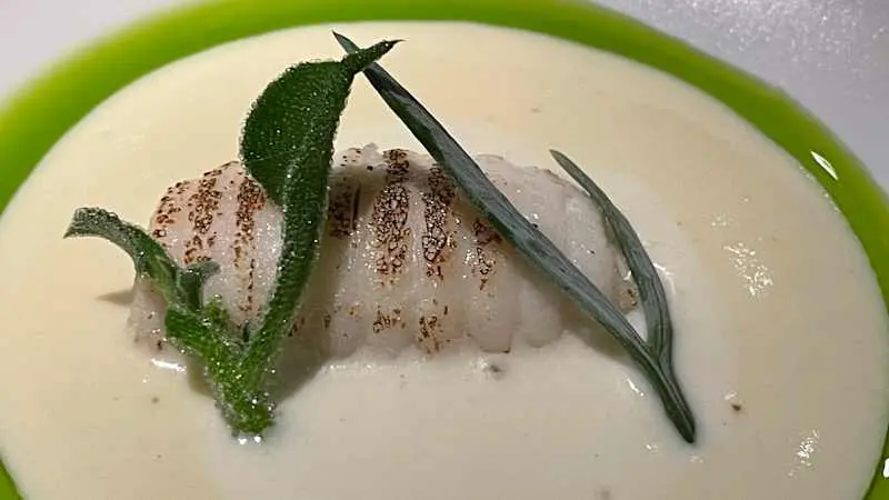 FISHØLOGY — foto 6