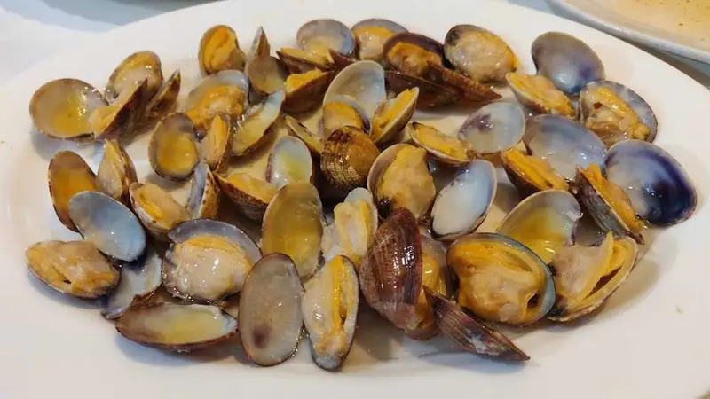 A Estrela Galega