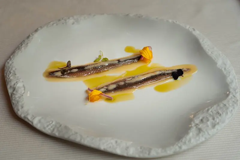 Anchoa ahumada "00" (ud)
