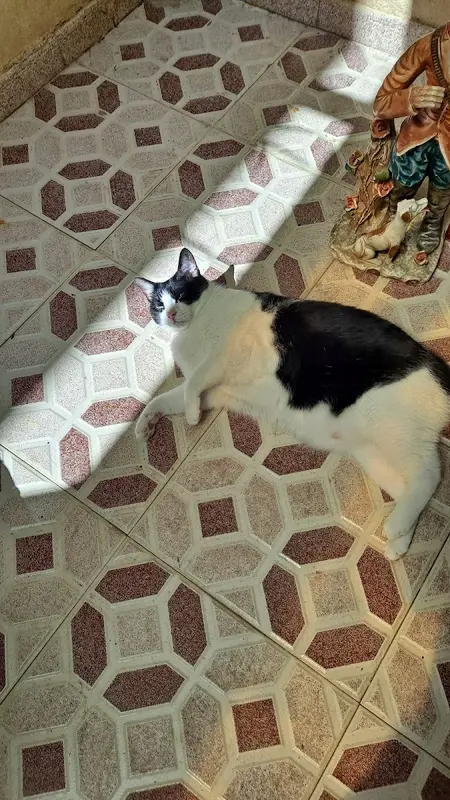 La Despensa de Laforja — foto 8